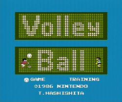 volley-ball01.gif